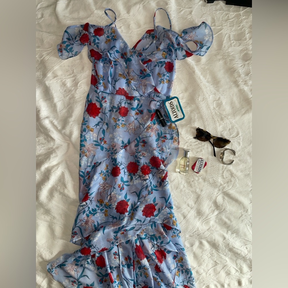 Floral Blue and Red Women's Dress